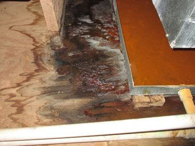 About Golden Restore Systems - water damage restoration experts in Saugus